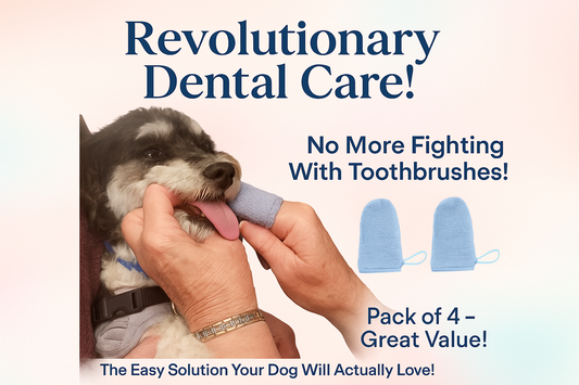 When Your Dog Hates Toothbrushes: The Story Behind Our Dental Wipes