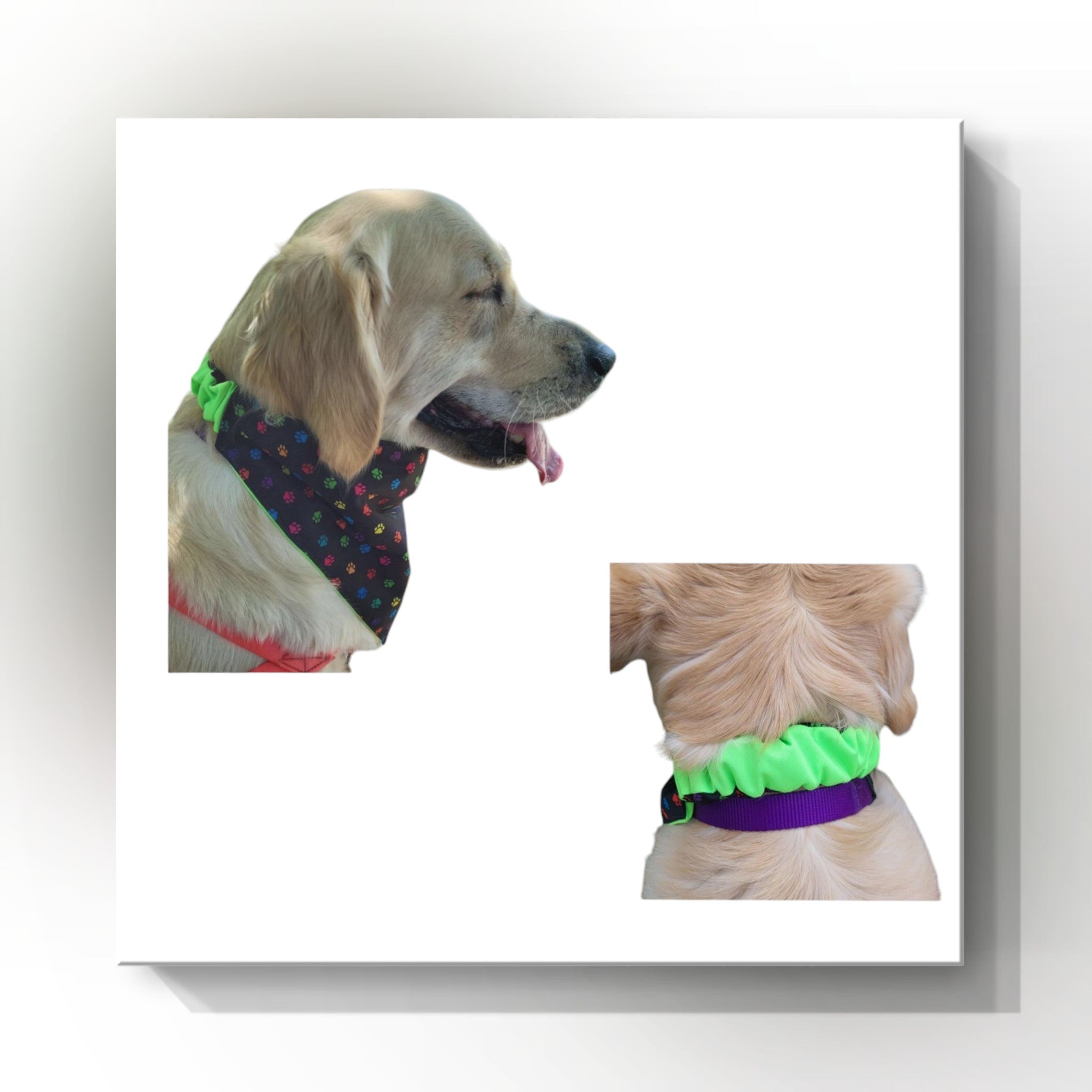 Dog scrunchies best sale