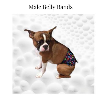 Male Dog Belly Band-Wrap | Dog Belly Bands | Jack & Jill dog Diapers