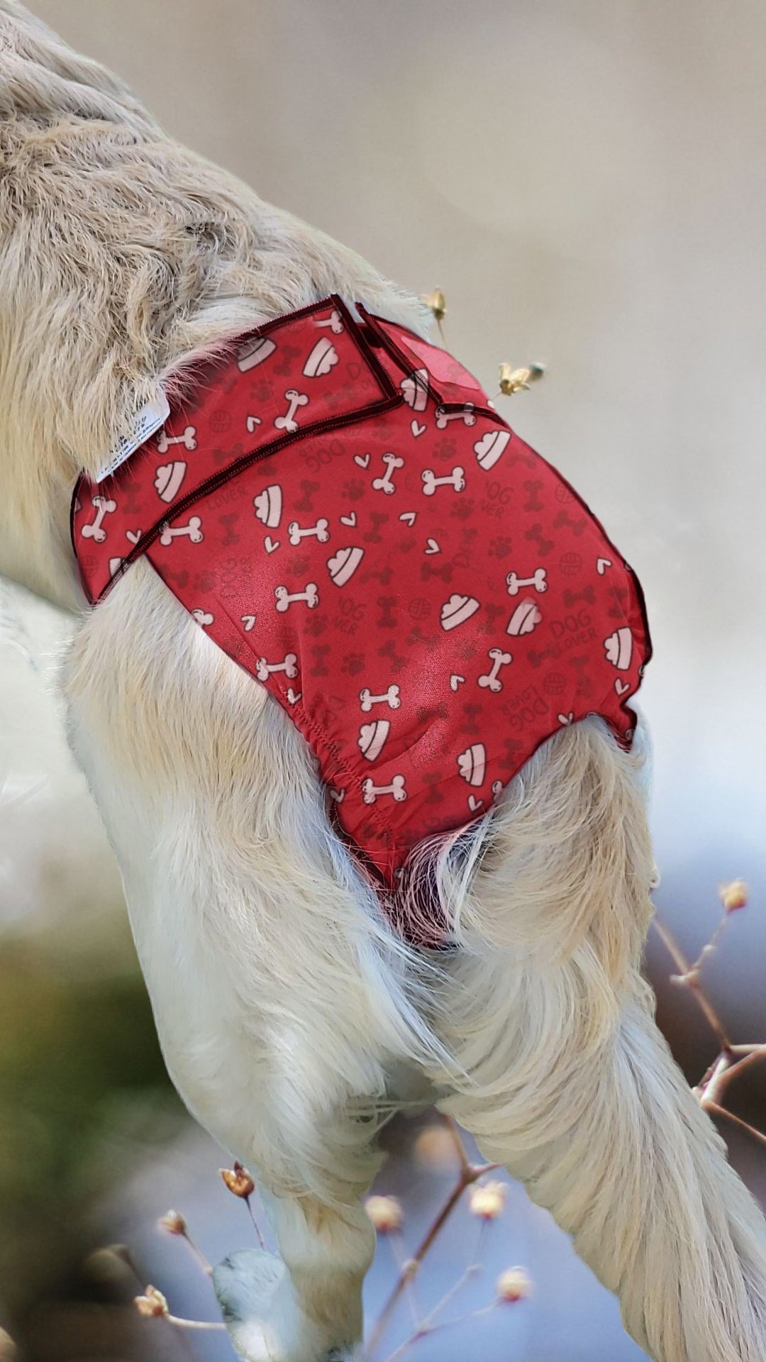 US Female Dog Diaper – Britches