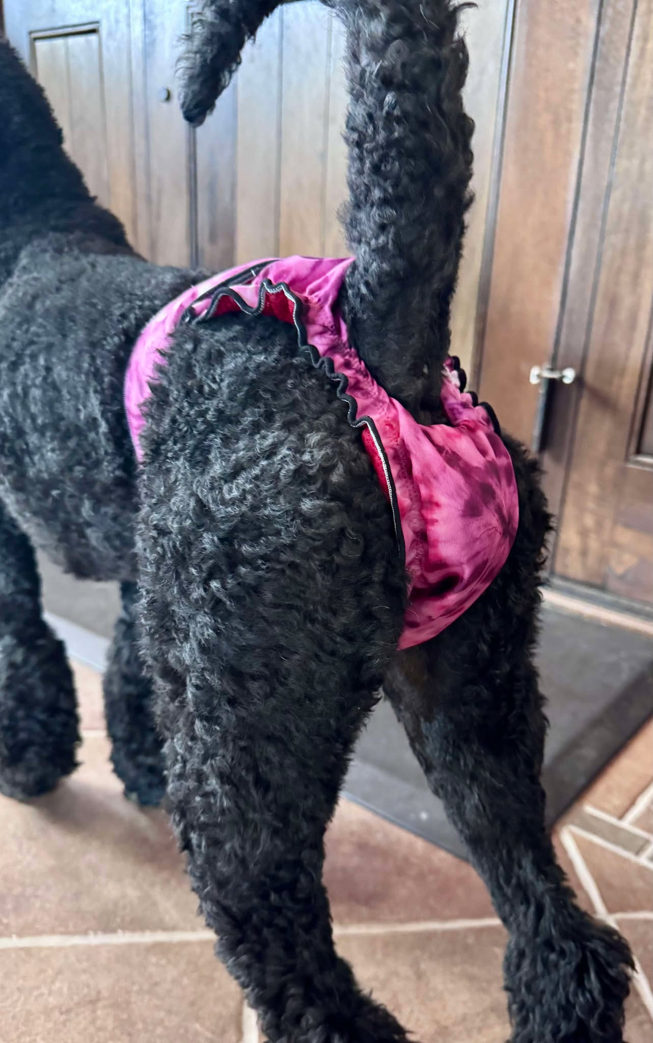High-Cut Dog Diaper Britches | Purple Tie Dye Print