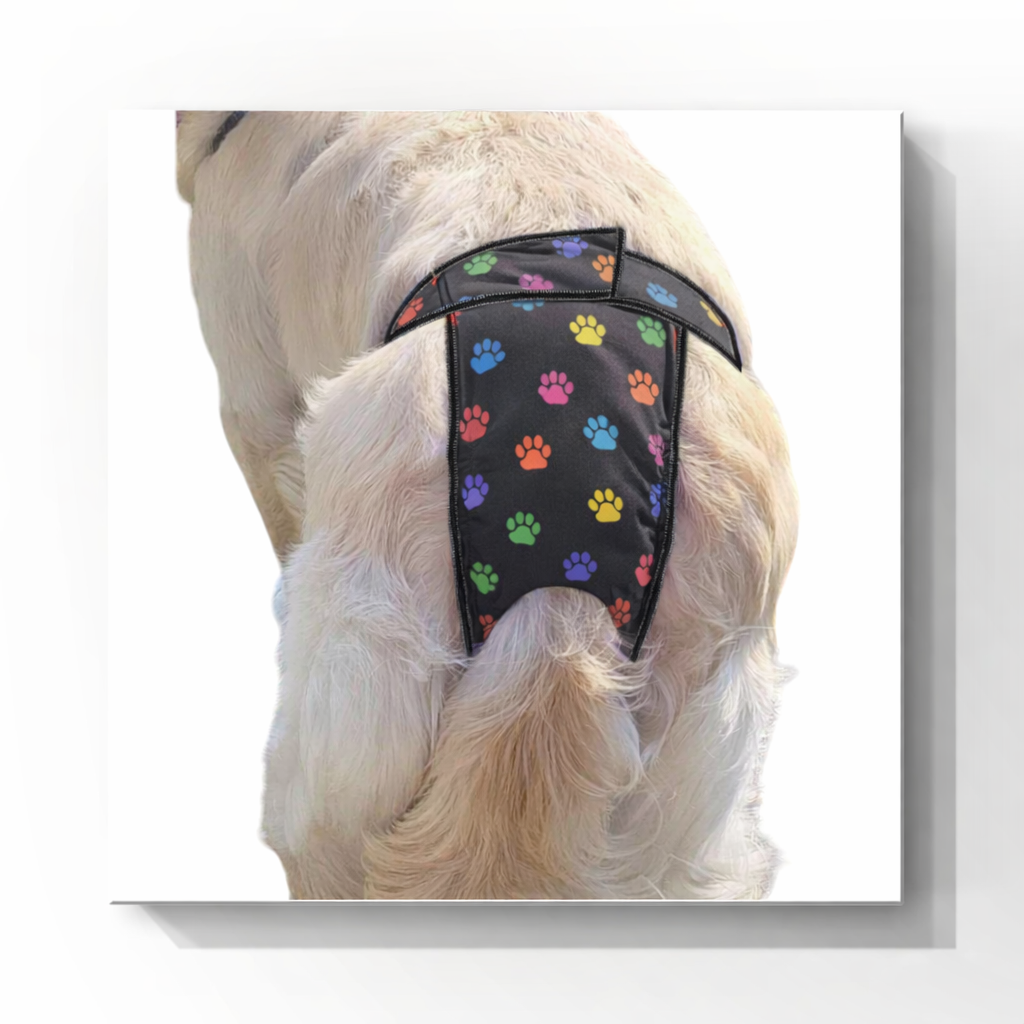 Washable High-Cut Dog Diaper – For Active Female Dogs