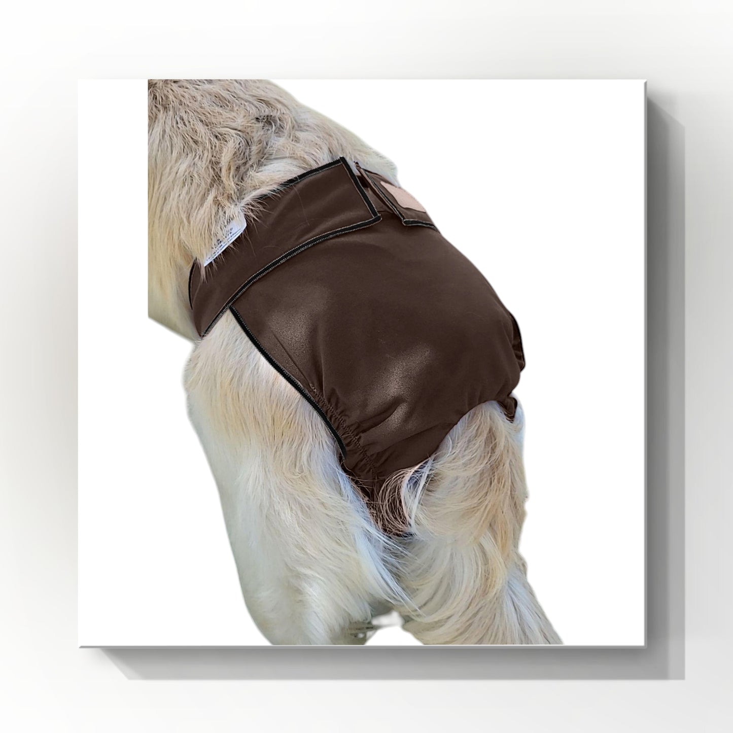 Female Dog Diaper | Britches | With Tail Opening |Chocolate Brown Print