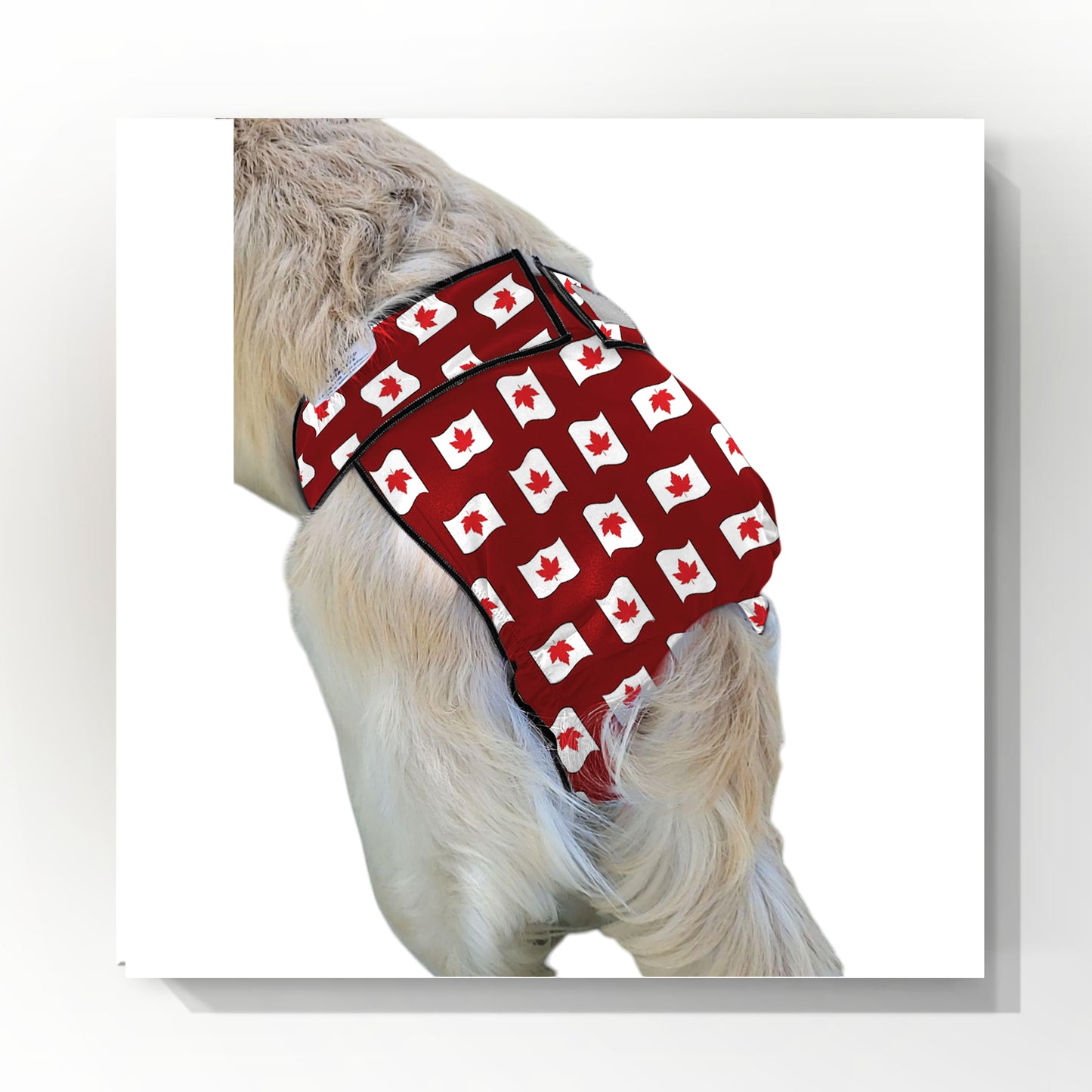 Female Dog Diaper Britches | With Tail Opening |Canadian Maple Leaf Print