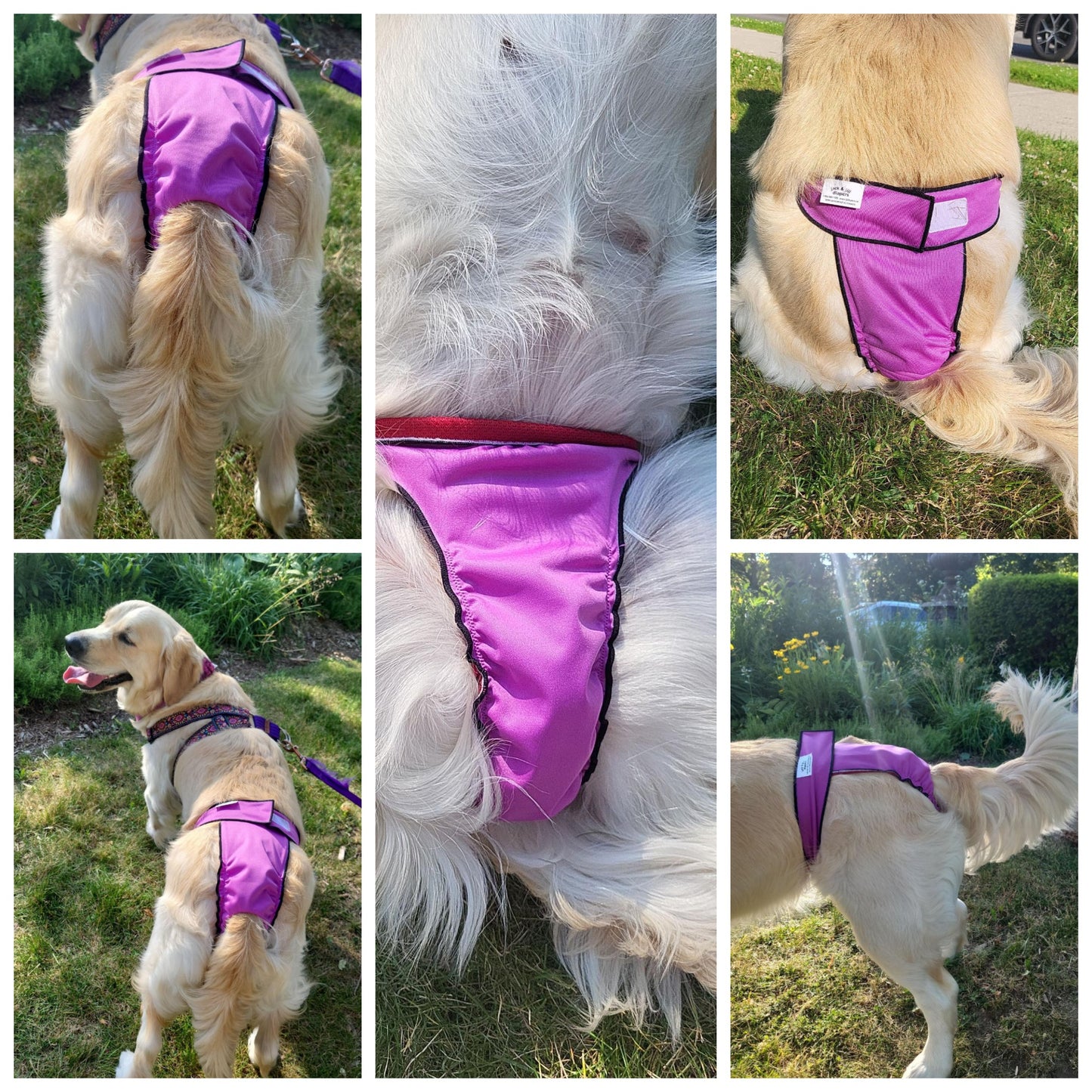 High-Cut Dog Diaper Britches | Chocolate Brown Print