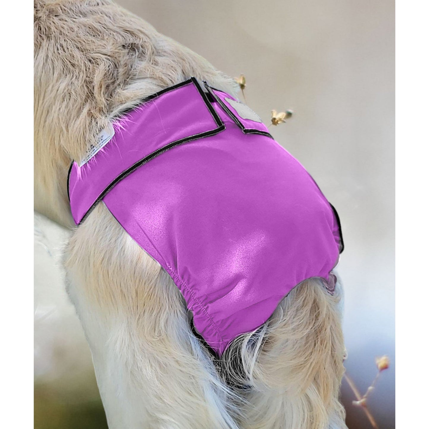 US Female Dog Diaper – Britches