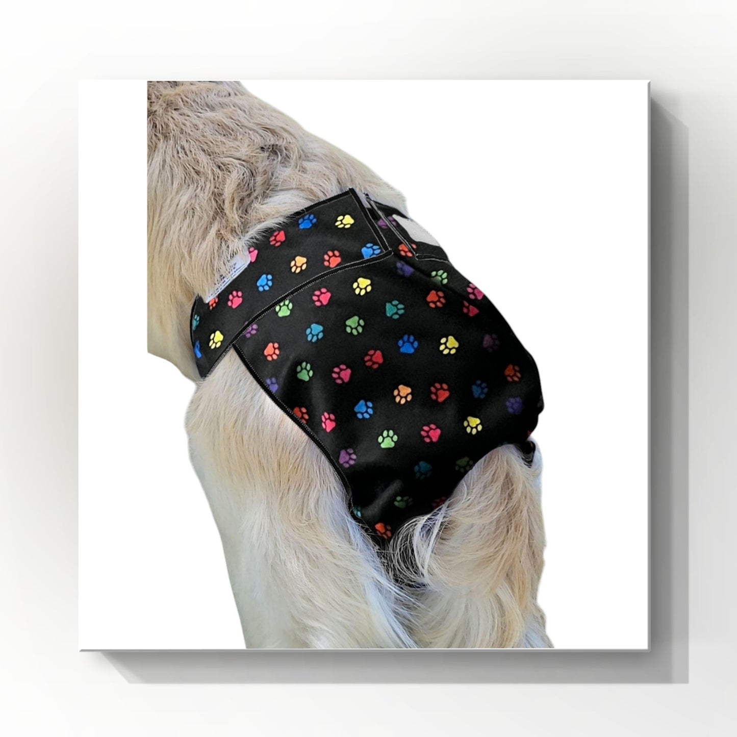 Washable Female Dog Diaper (Regular Fit) – Hand-Sewn in Canada