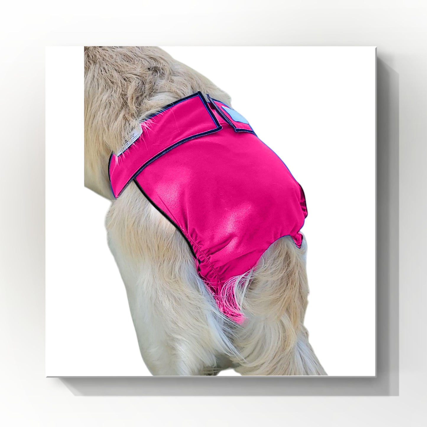 Female Dog Diaper | Britches | With Tail Opening | Pink Print