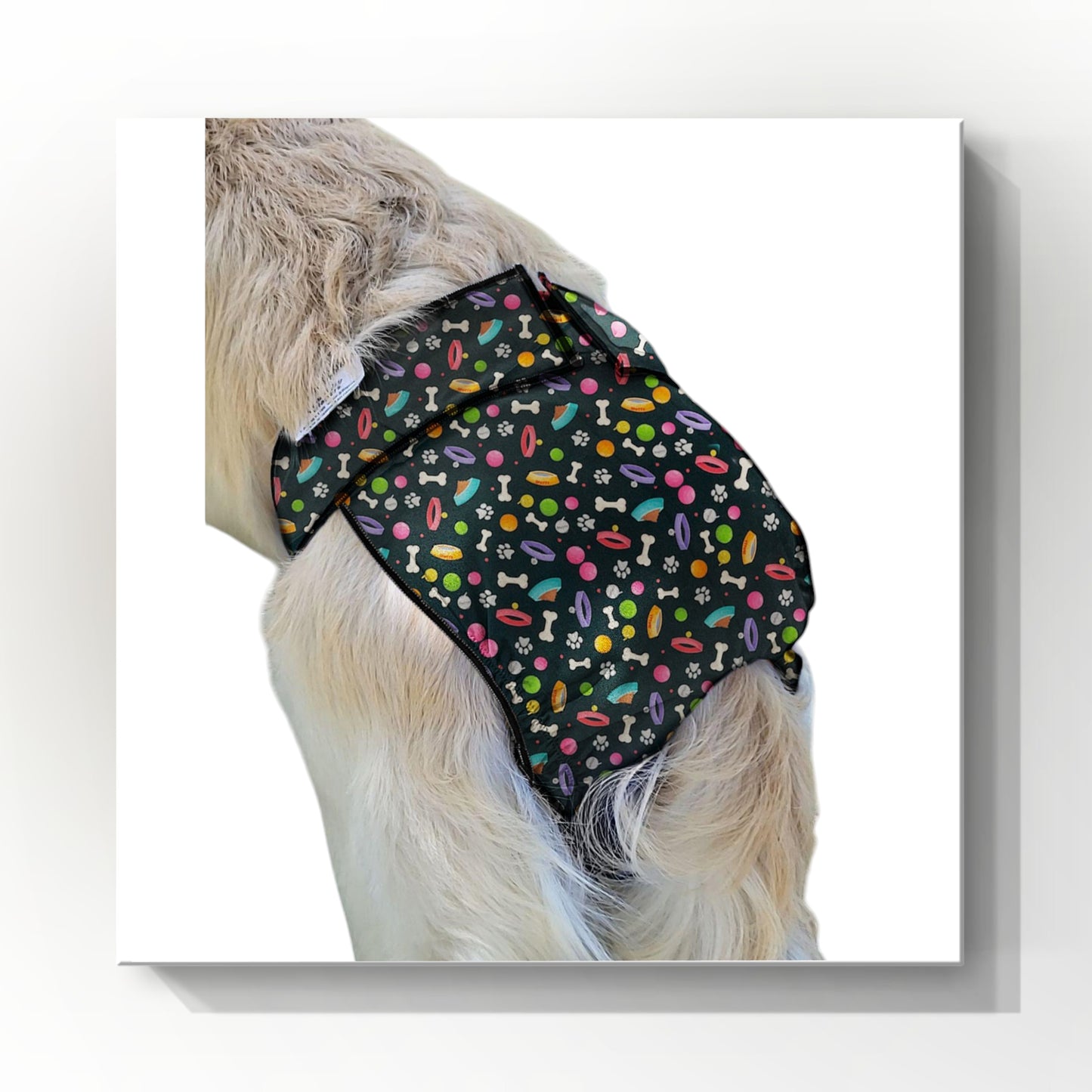 Female Dog Diaper Britches | With Tail Opening | Playful Dog Print