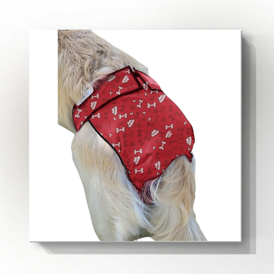 Female Dog Diaper Britches | With Tail Opening | Red Bones Print
