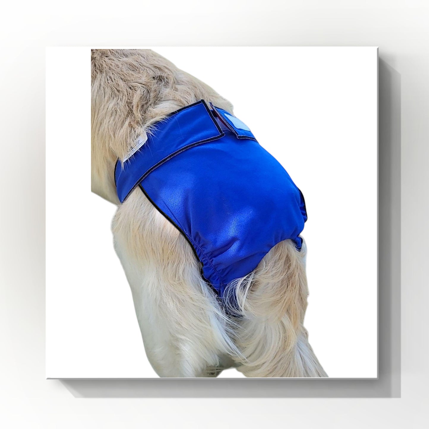 DS Female Dog Diaper – Britches