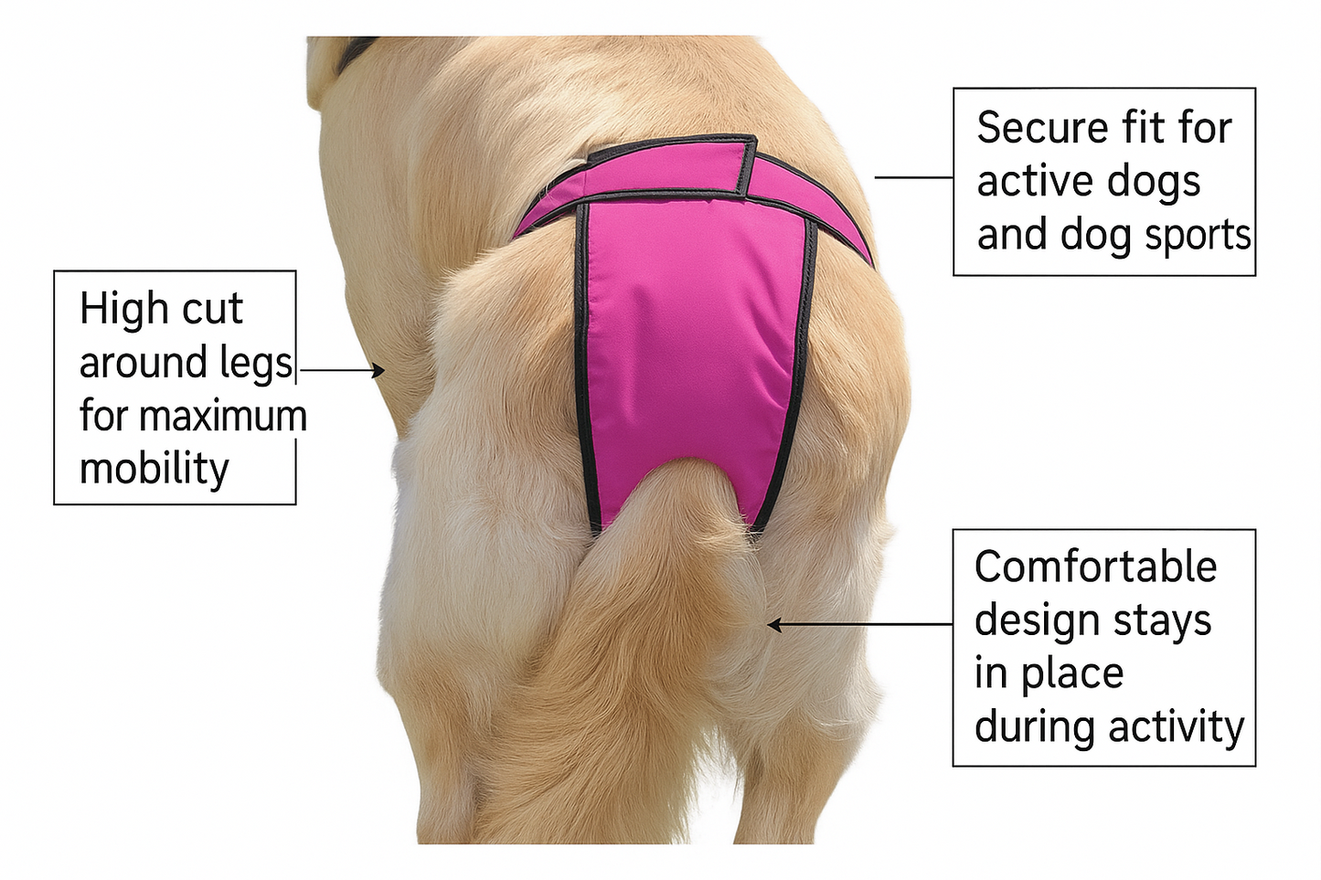 High-Cut Dog Diaper Britches | Pink Print