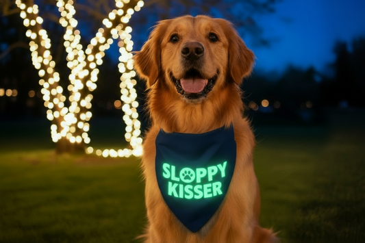 Glow in the Dark Snap-On Dog Bandana - SLOPPY KISSER