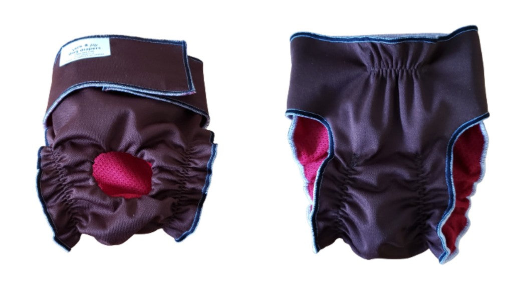 Female Dog Diaper Britches - With Tail Opening-Chocolate Brown - Jack & Jill Dog Diapers
