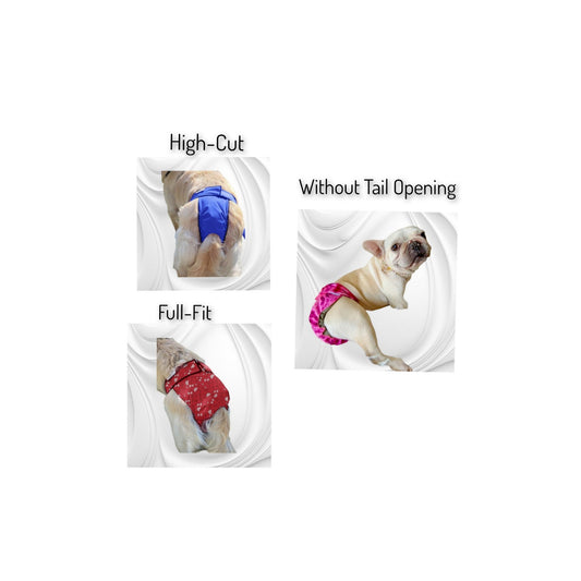 Washable dog diaper for female dogs by Jack & Jill Dog Diapers Canada