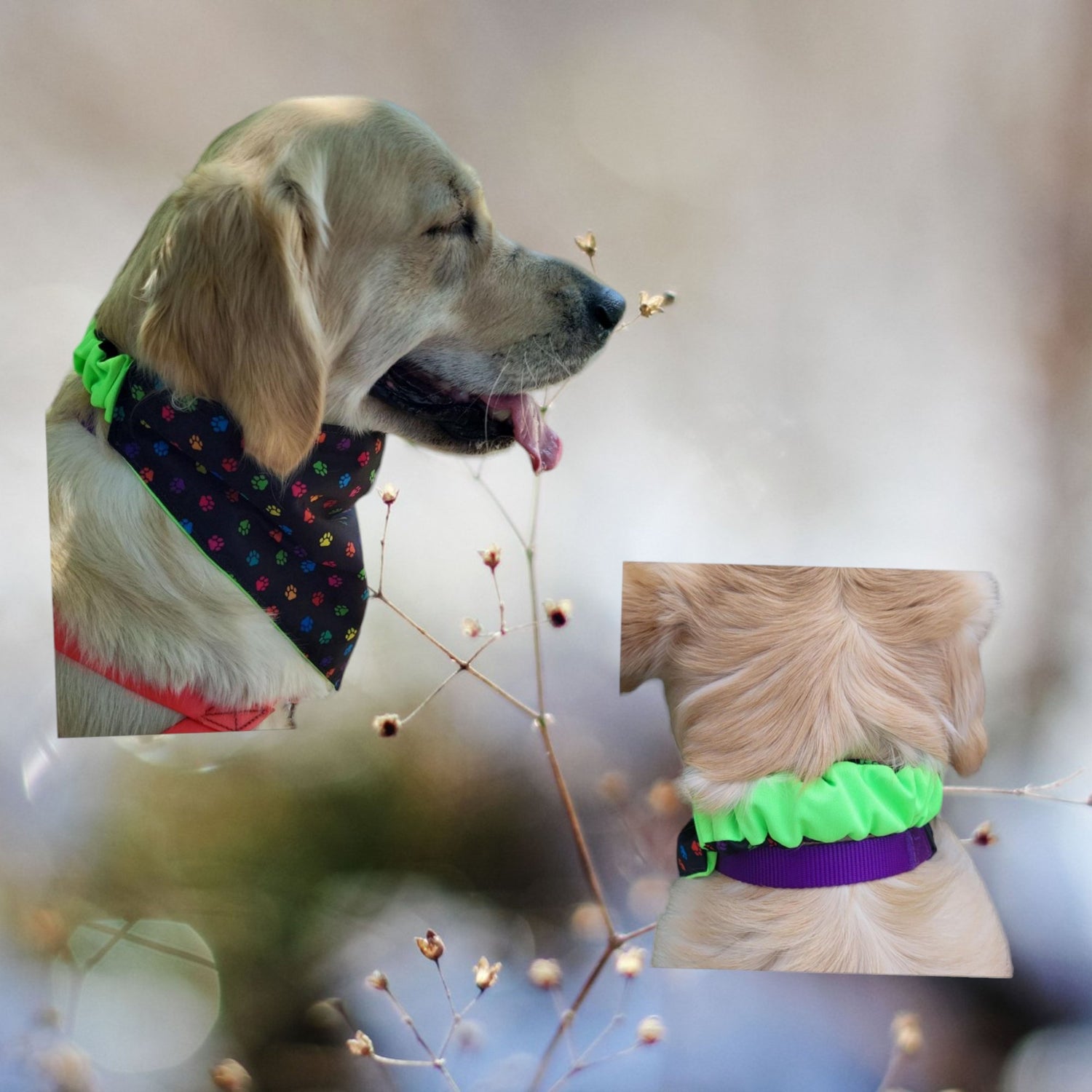 Dog Bandana -Scrunchie Style