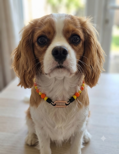 Silicone Beaded Dog Collar - Handmade in Canada