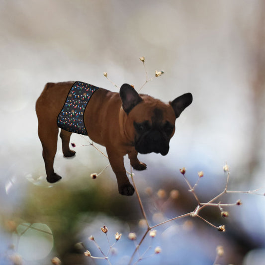 Male Dog Belly Band Wrap - Christmas Lights Style #2