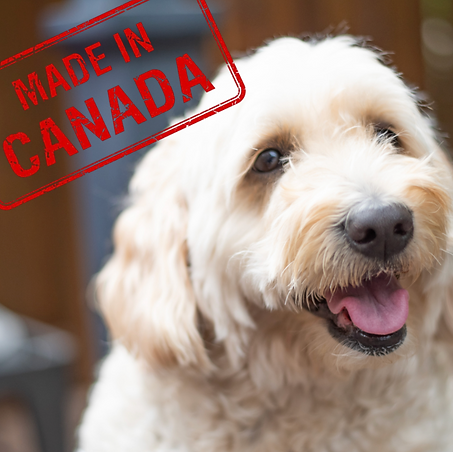 Compostable Dog Poop Bags - 120 Count (10 Rolls) | 100% Home Compostable