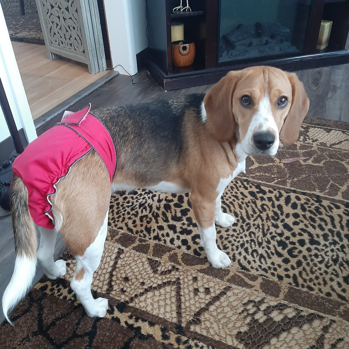 Original Classic Fit Female Dog Diapers