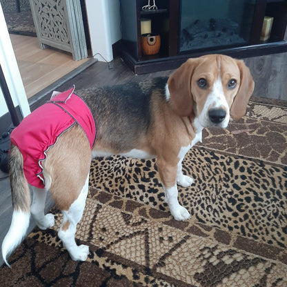 Original Classic Fit Female Dog Diapers