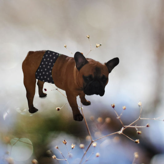 Male Dog Belly Band Wrap - White Paws Style #2