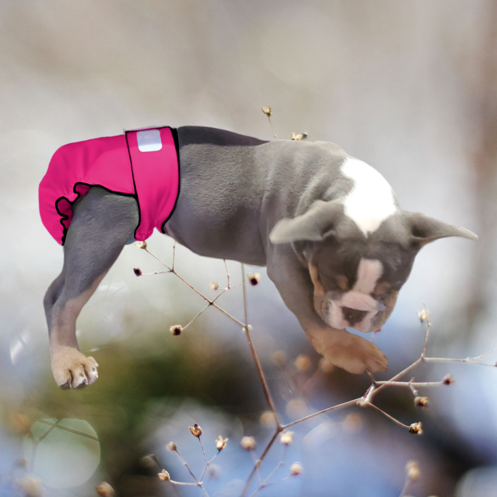 Female Dog Diaper Britches Without Tail Opening Pink