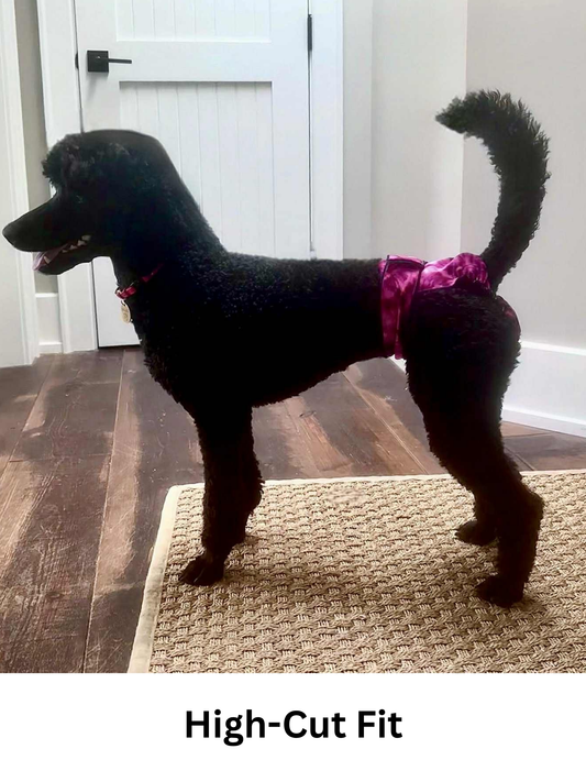For Active Female Dogs