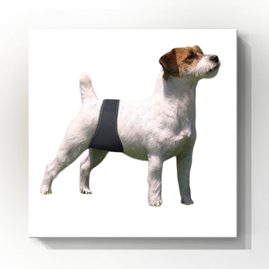 Male Dog Belly Band Wrap|  Black Print| Style 2