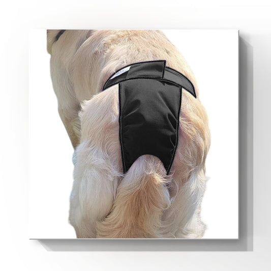 High-Cut Dog Diaper Britches | Black Print