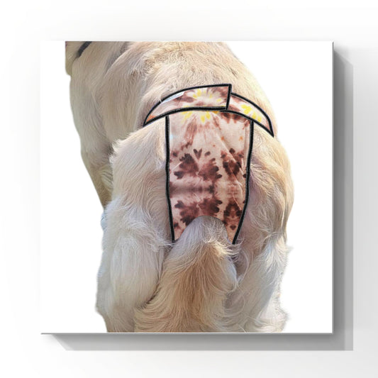 High-Cut Dog Diaper Britches | Brown Tie Dye