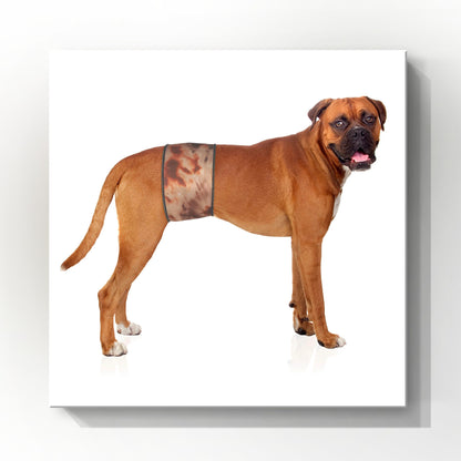 Male Dog Belly Band Wrap |Tie Dye  Brown Print |Style 1