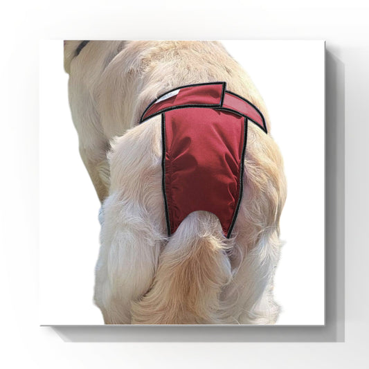 High-Cut Dog Diaper Britches | Burgundy Print