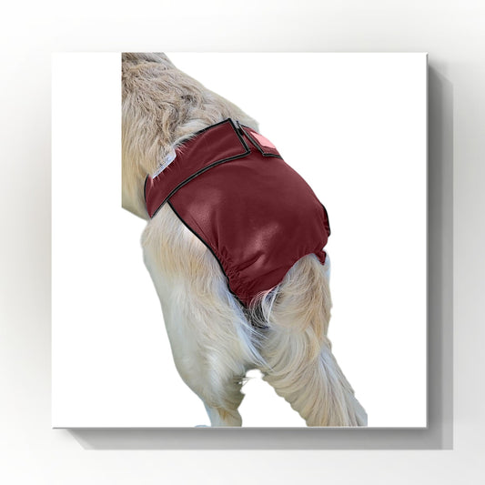Female Dog Diaper | Britches | With Tail Opening |Burgundy Print