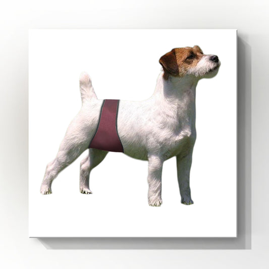 Male Dog Belly Band Wrap | Burgundy Print | Style 2