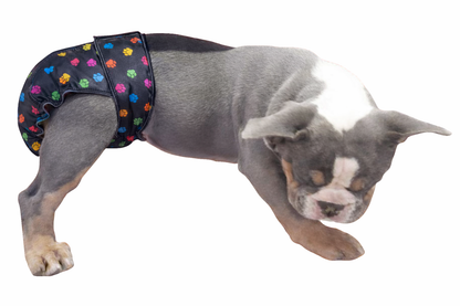 No-Tail Female Dog Diaper – Full Coverage for Stubby Tails