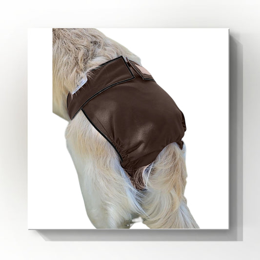 Female Dog Diaper | Britches | With Tail Opening |Chocolate Brown Print