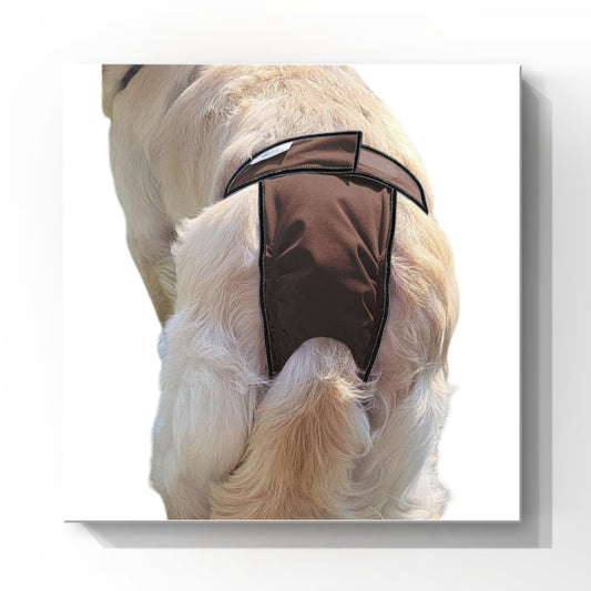 High-Cut Dog Diaper Britches | Chocolate Brown Print
