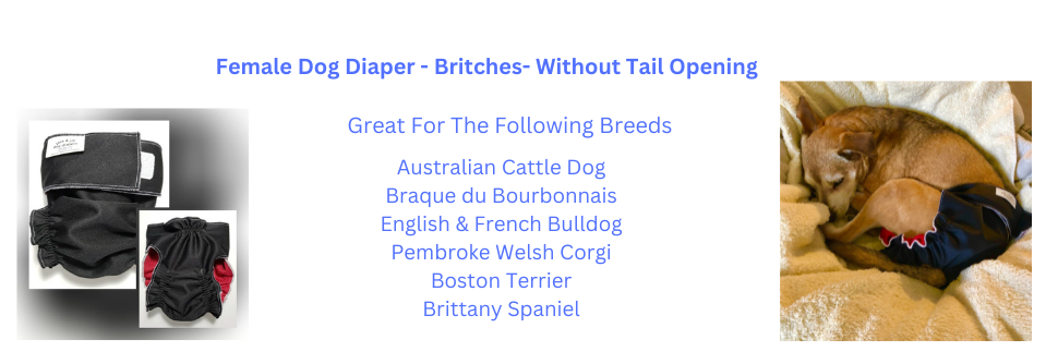 Pet diapers near 2024 me