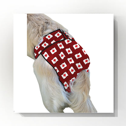 Female Dog Diaper Britches | With Tail Opening |Canadian Maple Leaf Print