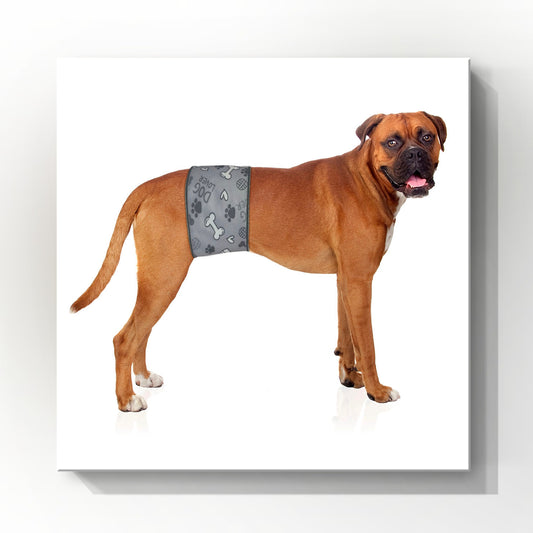 Male Dog Belly Band Wrap | Grey Bones Print | Style 1