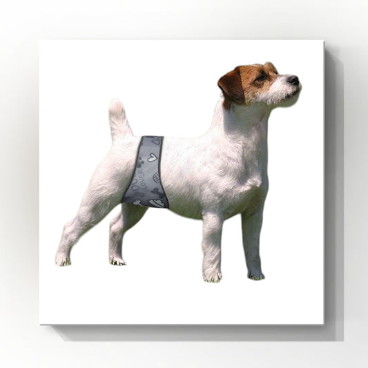 Male Dog Belly Band Wrap | Grey Bone Print| Style #2