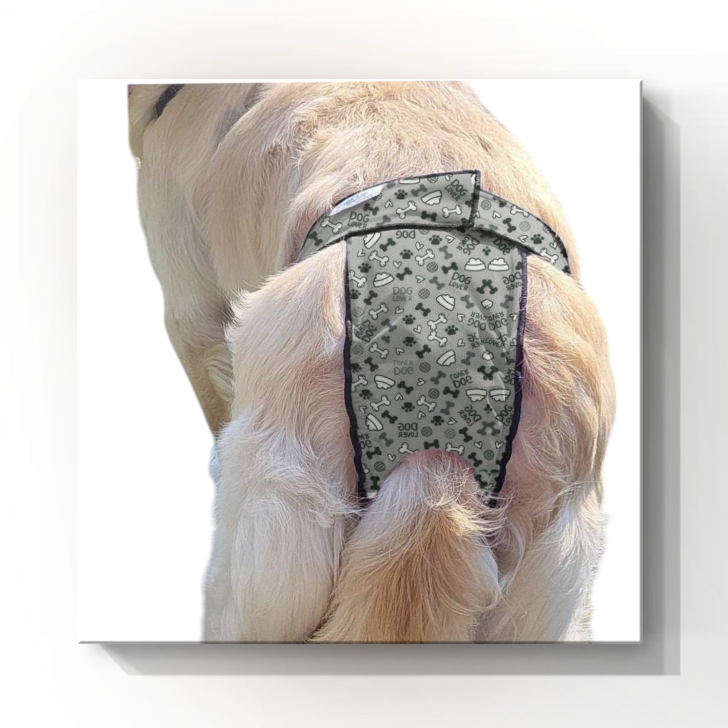 Female Dog Diapers (Britches) - Washable