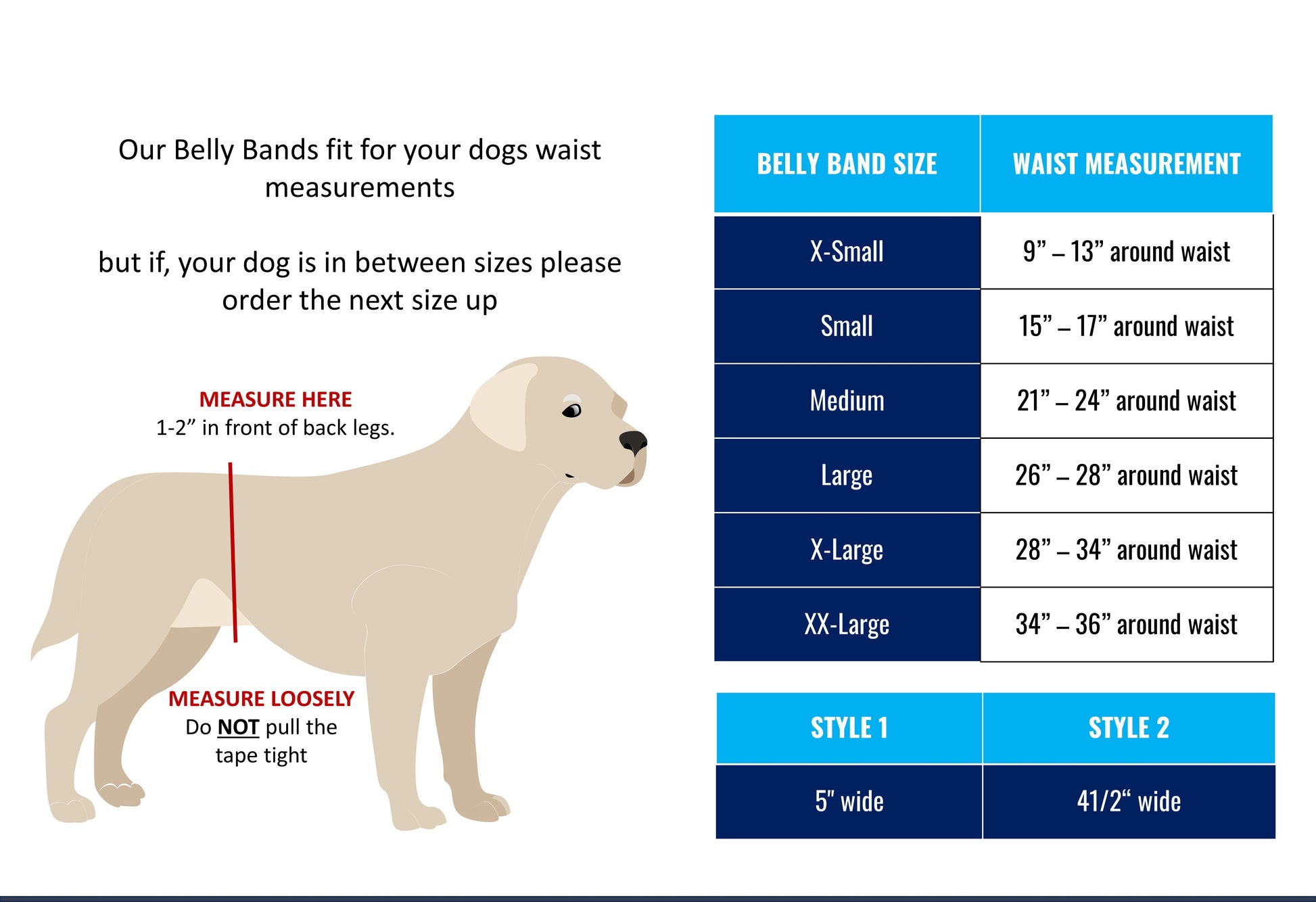 B&B  Male Belly Band – Black Style #2 - Jack & Jill Dog Diapers