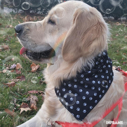 Trendy & Weatherproof Dog Bandana | Snap-On |Paw Print