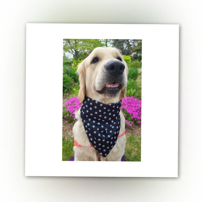 Dog Bandana  Scrunchie - Paw Prints