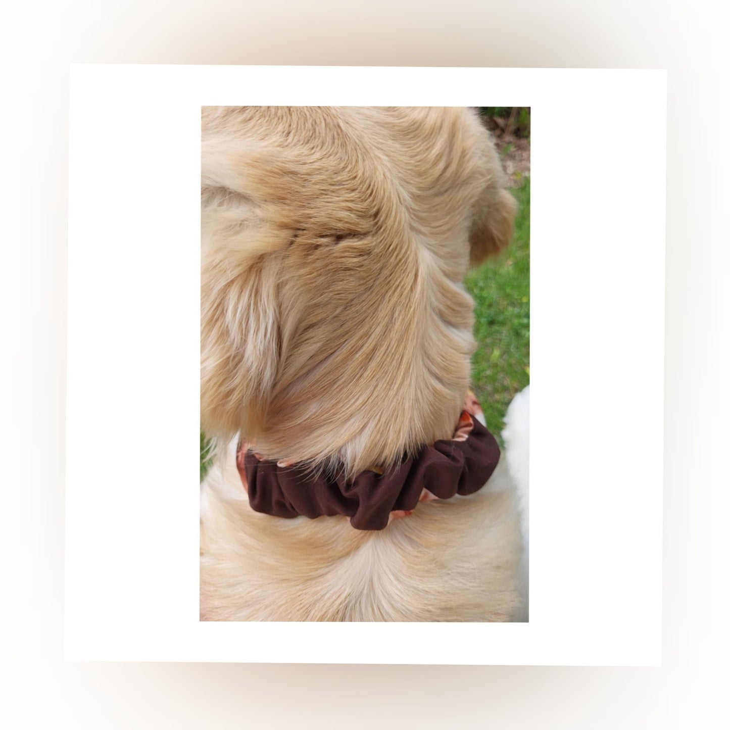 Dog Bandana Scrunchie - Brown Tie Dye/ Chocolate Brown