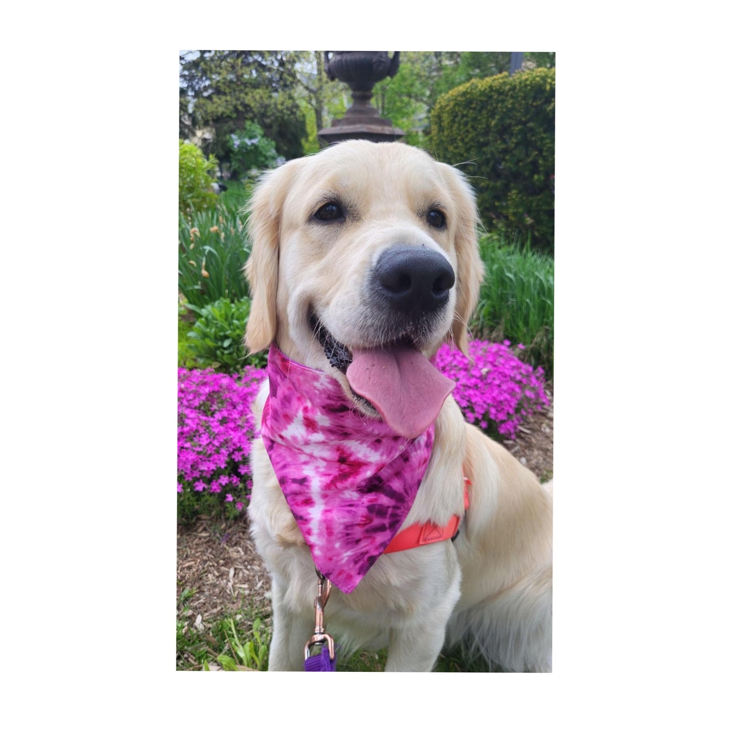 Dog Bandana Scrunchie - Purple Tie Dye/ Violet