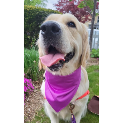 Dog Bandana Scrunchie - Purple Tie Dye/ Violet