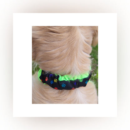 Dog Bandana  Scrunchie  - Multi Paw Print/Lime